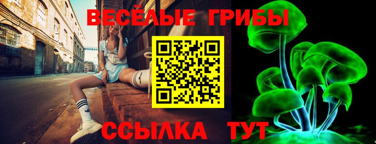 наркотики  Галлюциногенные грибы Magic Shrooms  Вход с VPN  Тулун 