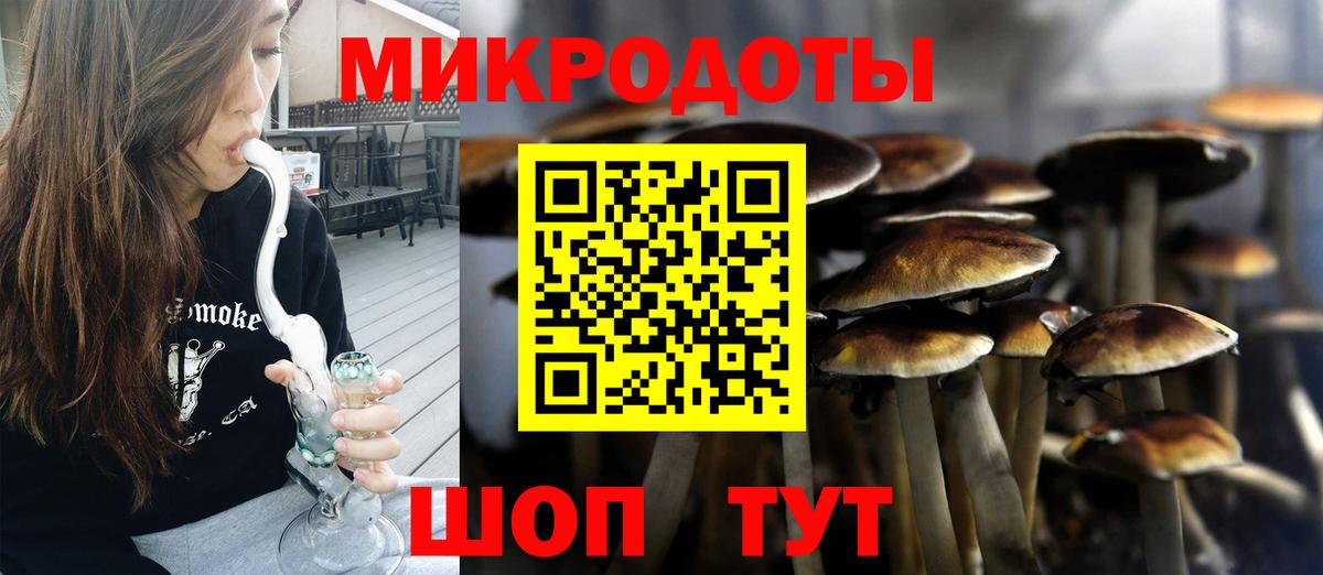 Псилоцибиновые грибы мухоморы Тулун