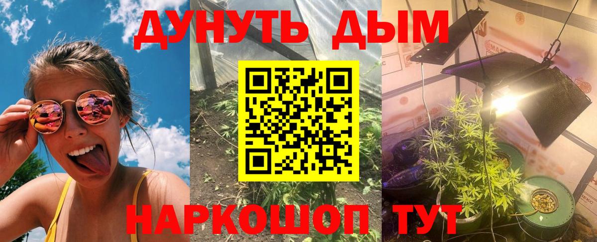 Тулун  Марихуана Bruce Banner  Конопля Bruce Banner  Марихуана планчик  Вход с VPN 